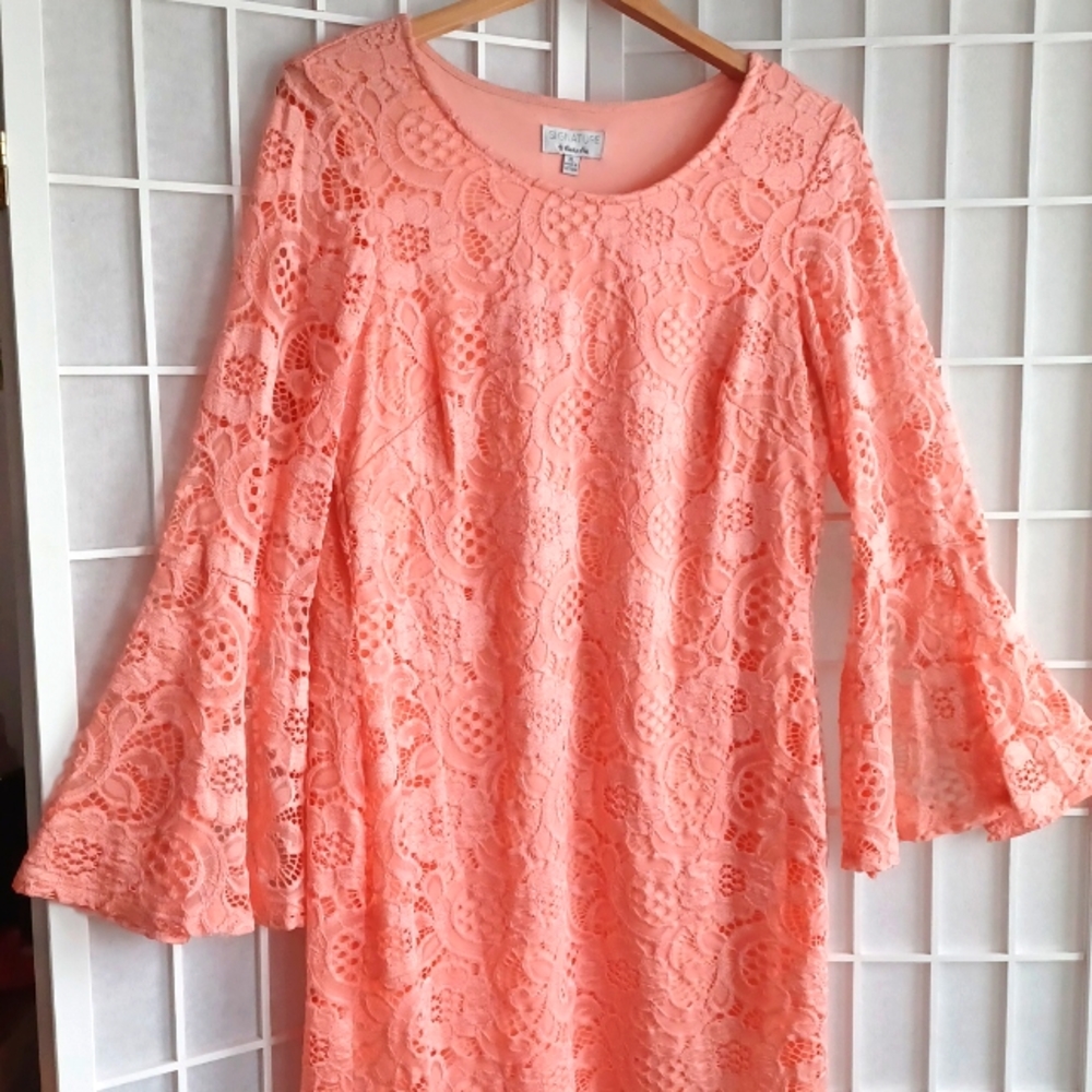 Signature by Robbie Bee dress